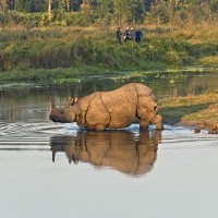 Chitwan Jungle Safari