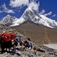 What Is The Best Time Of Year To Trek Everest Base Camp?